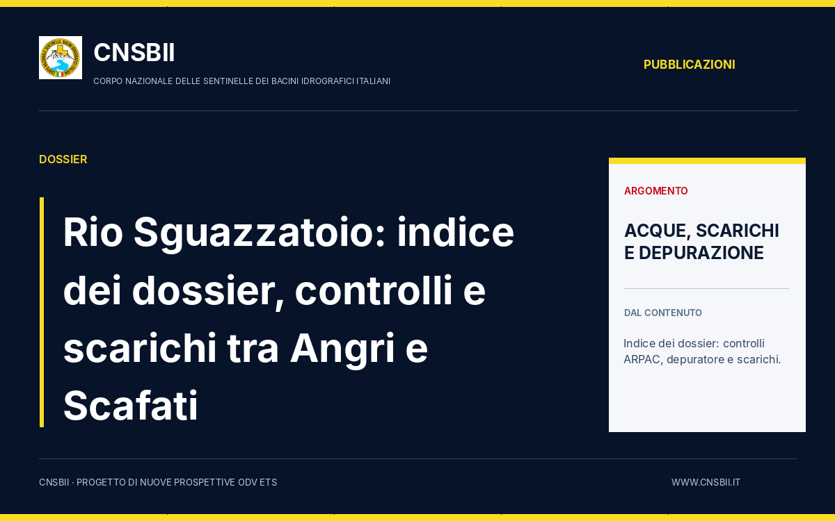 Copertina editoriale CNSBII: Rio Sguazzatoio: indice dei dossier, controlli e scarichi tra Angri e Scafati